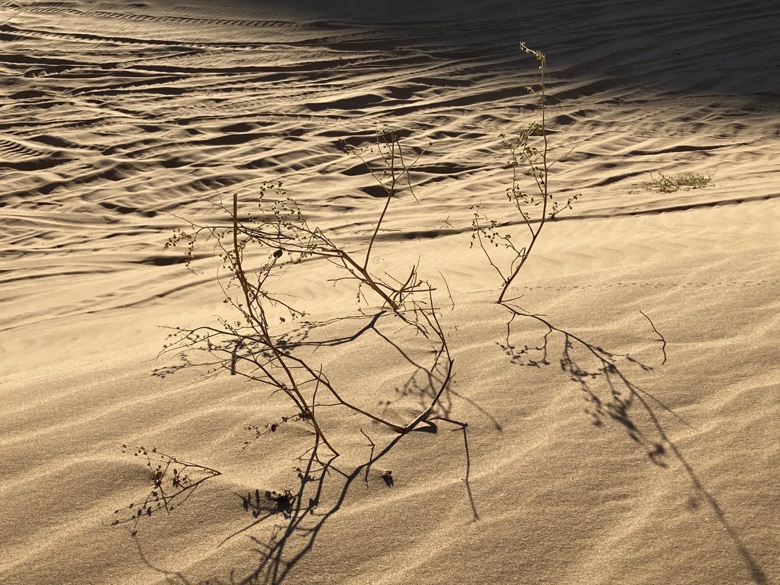 Preparing for the Elements: A Hiker’s Weather Guide